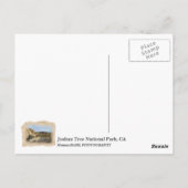 Mooi Briefkaart van de Joshua-boom! (Achterkant)