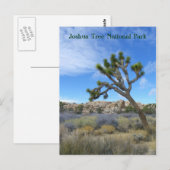 Mooi Briefkaart van de Joshua-boom! (Voorkant / Achterkant)