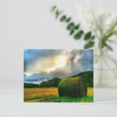 Mooi briefkaart van een hooiveld (Staand voorkant)