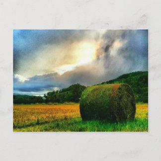 Mooi briefkaart van een hooiveld