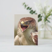 Mooi Briefkaart van Lanner Falcon (Staand voorkant)