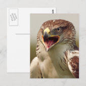 Mooi Briefkaart van Lanner Falcon (Voorkant / Achterkant)