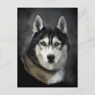 Mooi Briefkaart van Siberian Husky