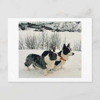 Mooi Briefkaart voor feestdagen