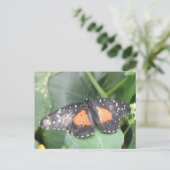 Mooi Briefkaart voor vlinder (Staand voorkant)