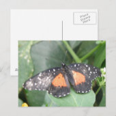 Mooi Briefkaart voor vlinder (Voorkant / Achterkant)