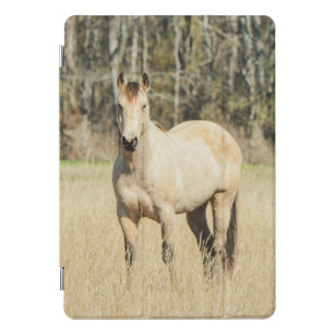Mooi Buckskin Horse iPad Pro Cover
