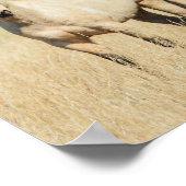 Mooi Buckskin Horse Poster (Hoek)