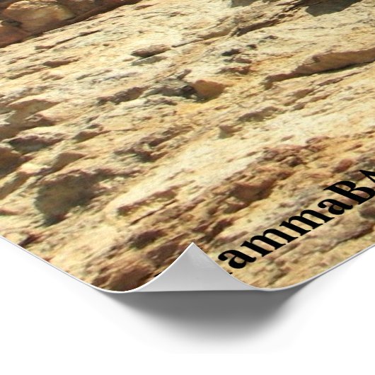 Mooi Calico Ghost-Poster! Poster (Hoek)