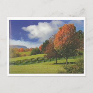 Mooi Canada Landschap Niagara: LOW PRICE Gift Briefkaart