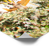 Mooi Caraïbisch strand Poster (Hoek)