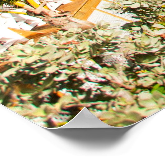 Mooi Caraïbisch strand Poster (Hoek)