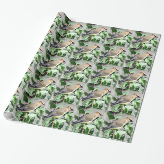 Mooi Cedar Waxwing Cadeaupapier (Uitgerold)