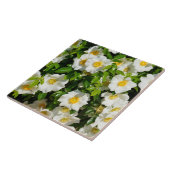 Mooi Cherokee Roos Tegeltje (Zijkant)