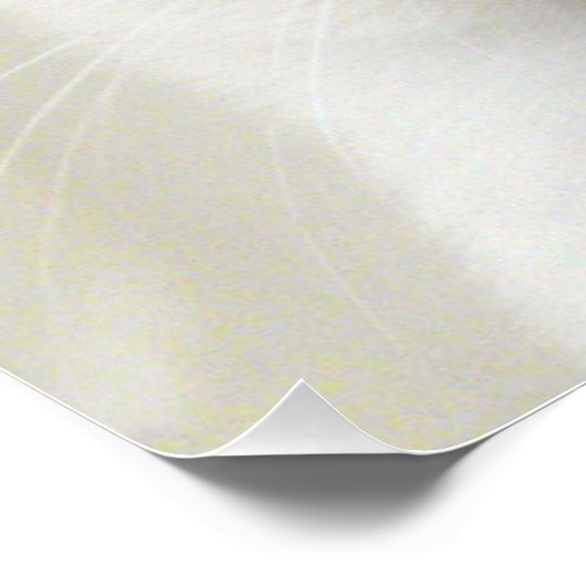 Mooi Chic Sweet Pet Siamese Kitten Cat Poster (Hoek)