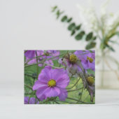 Mooi Cosmea Flowers DIY Briefkaart (Staand voorkant)