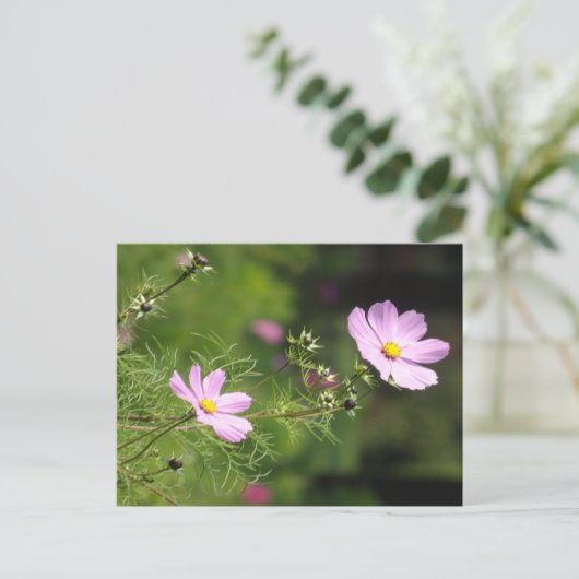 Mooi Cosmea Flowers Verticaal DIY Briefkaart (Staand voorkant)