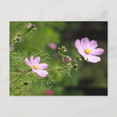 Mooi Cosmea Flowers Verticaal DIY Briefkaart (Voorkant)