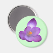 Mooi Crocus Magnet (Voorkant / Achterkant)
