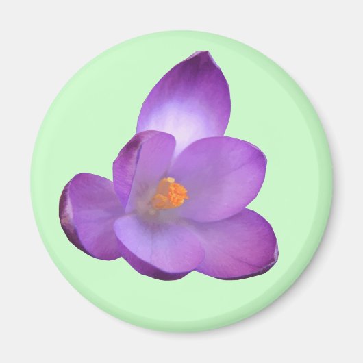 Mooi Crocus Magnet (Voorkant)
