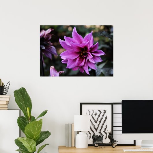 Mooi Dahlia Flower Poster (Thuiskantoor)