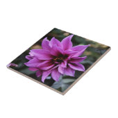 Mooi Dahlia Flower Tegeltje (Zijkant)