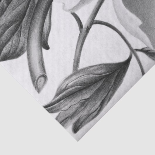 Mooi Dahlia Flower Tissuepapier (Detail)