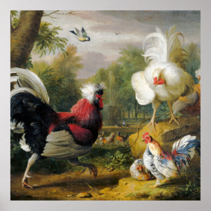  mooi de hanen vechten poster