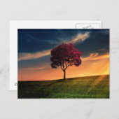 Mooi de natuurlandschap van de boom briefkaart (Voorkant / Achterkant)