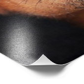 Mooi Doberman Pinscher Foto Afdruk (Hoek)