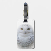 Mooi, drommelig en Serene Snowy Owl Bagagelabel (Achterkant verticaal)