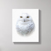 Mooi, drommelig en Serene Snowy Owl Canvas Afdruk (Voorkant)