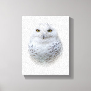 Mooi, drommelig en Serene Snowy Owl Canvas Afdruk
