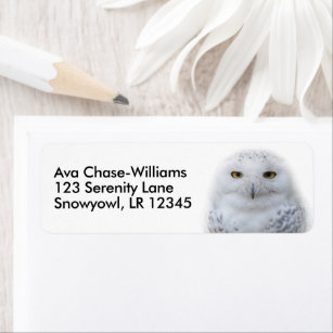 Mooi, drommelig en Serene Snowy Owl Etiket