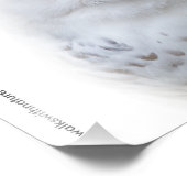 Mooi, drommelig en Serene Snowy Owl Foto Afdruk (Hoek)