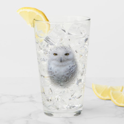 Mooi, drommelig en Serene Snowy Owl Glas (Voorkant ijs)