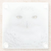 Mooi, drommelig en Serene Snowy Owl Glazen Onderzetter (Achterkant)