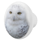 Mooi, drommelig en Serene Snowy Owl Keramische Knop (Rechts)
