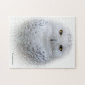 Mooi, drommelig en Serene Snowy Owl Legpuzzel (Horizontaal)