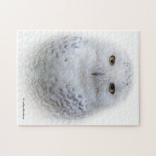Mooi, drommelig en Serene Snowy Owl Legpuzzel (Horizontaal)