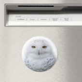 Mooi, drommelig en Serene Snowy Owl Magneet (Insitu (Vaatwasser))