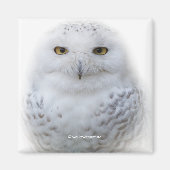 Mooi, drommelig en Serene Snowy Owl Magneet (Voorkant)