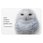 Mooi, drommelig en Serene Snowy Owl Magneet (Horizontaal)