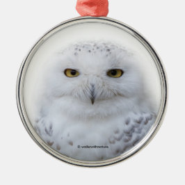 Mooi, drommelig en Serene Snowy Owl Metalen Ornament