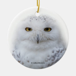 Mooi, drommelig en Serene Snowy Owl Metalen Ornament