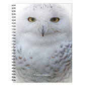 Mooi, drommelig en Serene Snowy Owl Notitieboek (Voorkant)