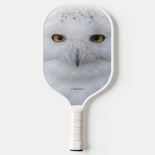 Mooi, drommelig en Serene Snowy Owl Pickleball Paddle (Achterkant)