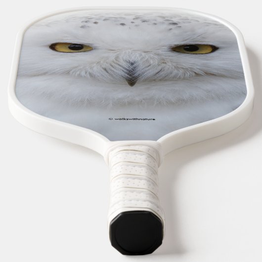 Mooi, drommelig en Serene Snowy Owl Pickleball Paddle (Laagn)