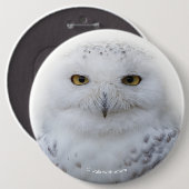 Mooi, drommelig en Serene Snowy Owl Ronde Button 6,0 Cm (Voorkant /achterkant)