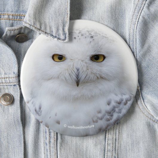 Mooi, drommelig en Serene Snowy Owl Ronde Button 6,0 Cm (In situ)